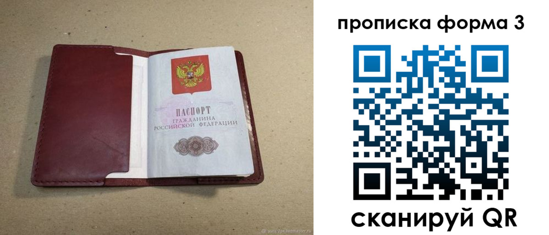 прописка поиск в Миассе